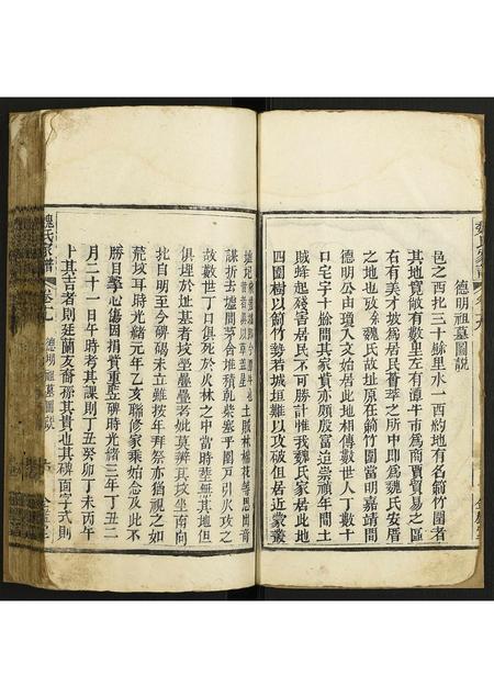 海南魏氏-魏氏家谱.pdf电子版预览图5