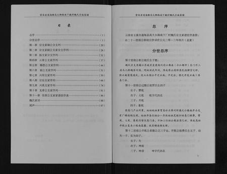 云南魏氏-魏氏宗谱家谱[不分卷].pdf电子版预览图2