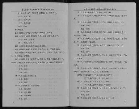 云南魏氏-魏氏宗谱家谱[不分卷].pdf电子版预览图5