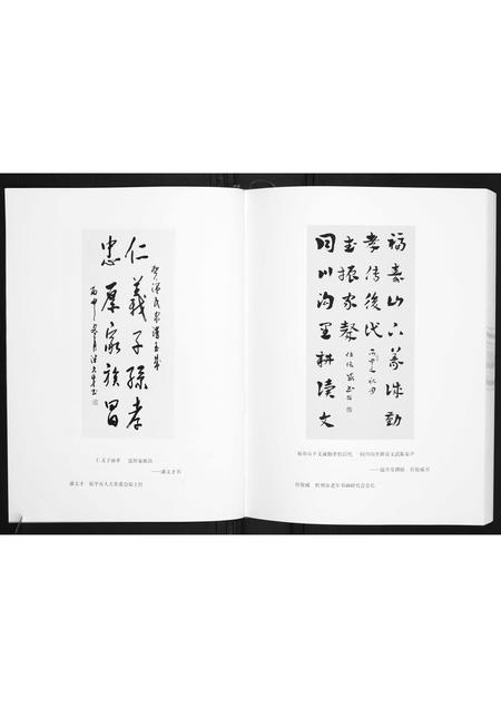 山西温氏-东社温氏族谱.pdf电子版预览图3