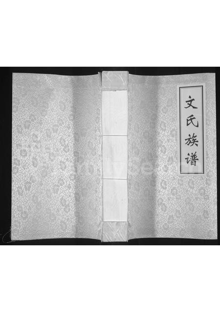 四川文氏-大竹文氏城口支族族谱(别名：文氏族谱).pdf电子版缩略图