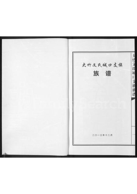 四川文氏-大竹文氏城口支族族谱(别名：文氏族谱).pdf电子版预览图1