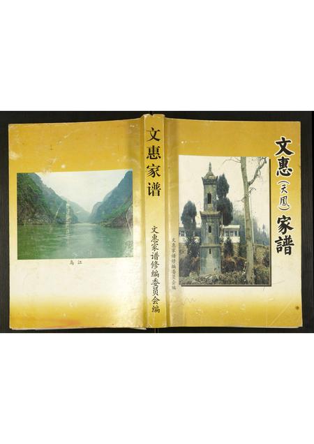 贵州文氏-文惠(天凤)家谱.pdf电子版缩略图