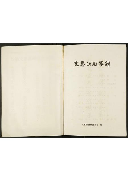 贵州文氏-文惠(天凤)家谱.pdf电子版预览图2