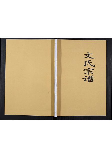 贵州文氏-文氏宗谱.pdf电子版缩略图