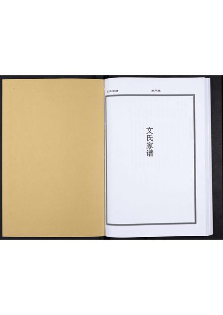 贵州文氏-文氏宗谱.pdf电子版预览图1
