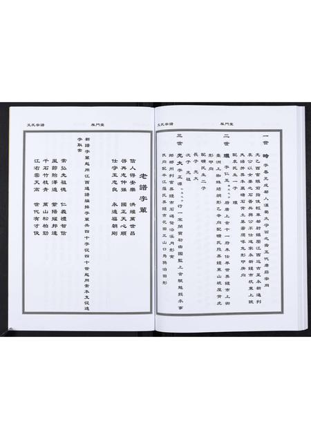 贵州文氏-文氏宗谱.pdf电子版预览图4