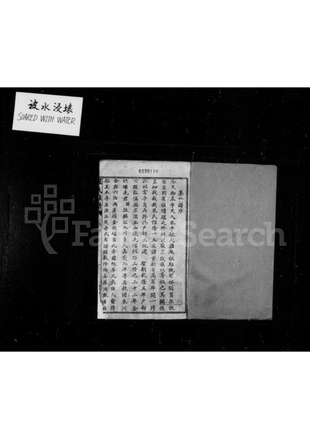 四川巫氏-威远巫氏族谱 [1卷].pdf电子版预览图1