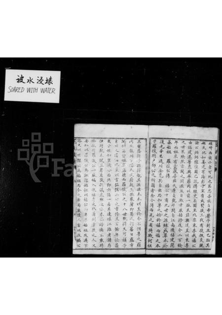 四川巫氏-威远巫氏族谱 [1卷].pdf电子版预览图2