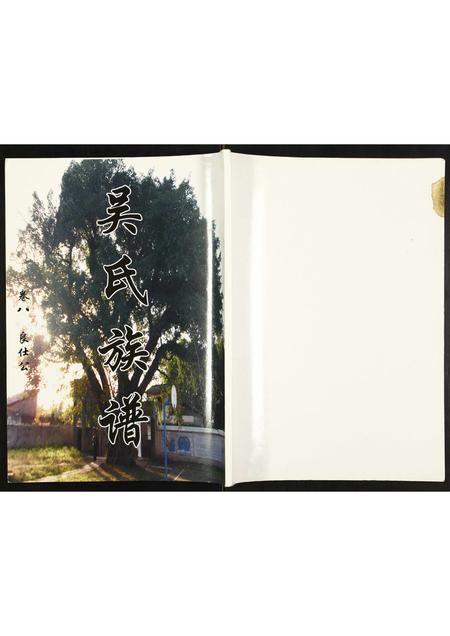 四川吴氏-吴氏族谱.pdf电子版缩略图