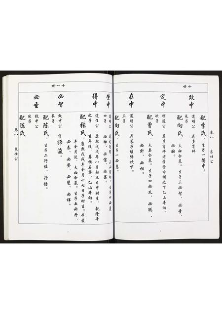 四川吴氏-吴氏族谱.pdf电子版预览图2