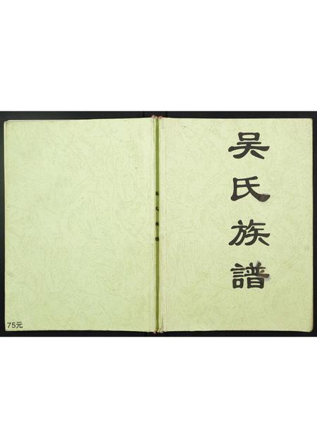 广西吴氏-山姜坑吴氏族谱.pdf电子版缩略图