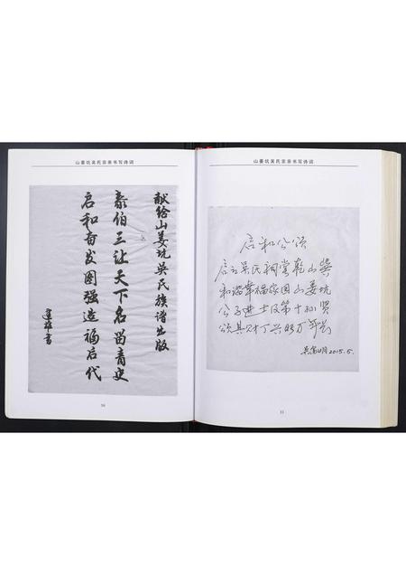 广西吴氏-山姜坑吴氏族谱.pdf电子版预览图3