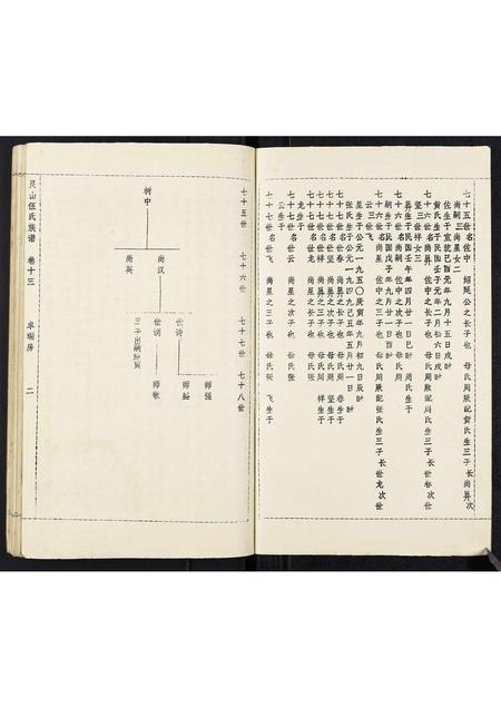 广西伍氏-灵山伍氏族谱.pdf电子版预览图2