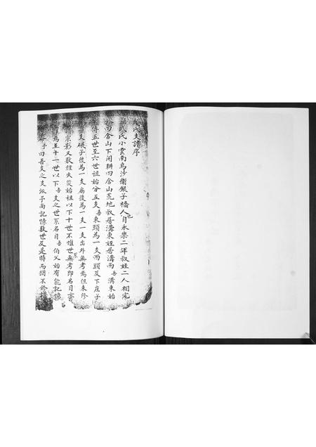 山东武氏-武氏宗谱.pdf电子版预览图2