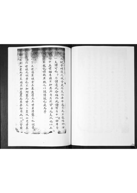 山东武氏-武氏宗谱.pdf电子版预览图3