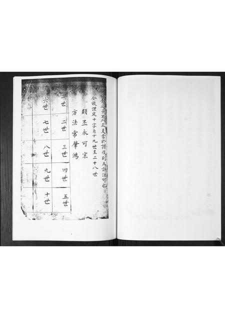 山东武氏-武氏宗谱.pdf电子版预览图5