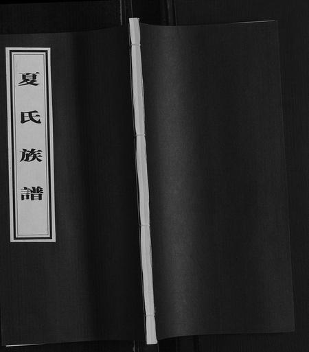 山东夏氏-夏氏族谱.pdf电子版缩略图