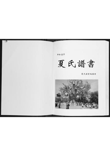 山东夏氏-平阴店子夏氏家族谱书.pdf电子版预览图1