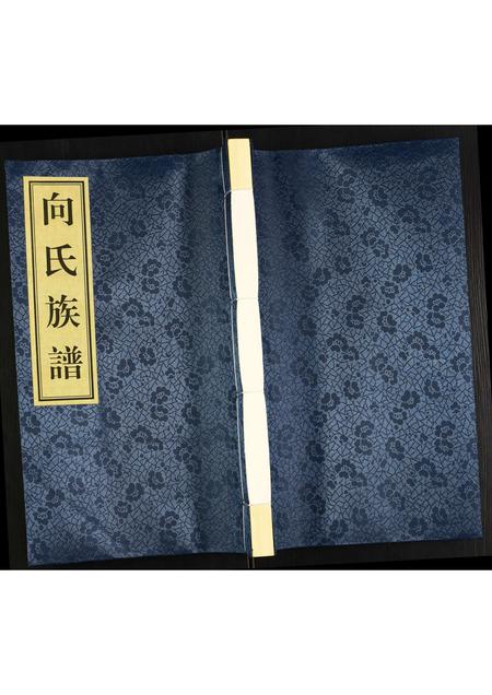 贵州向氏-兴仁县向氏族谱.pdf电子版缩略图