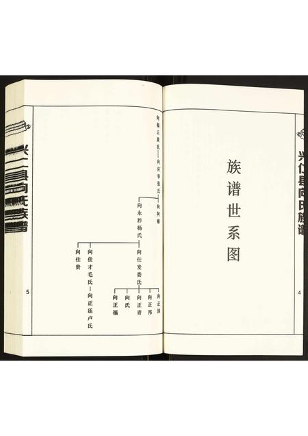 贵州向氏-兴仁县向氏族谱.pdf电子版预览图3