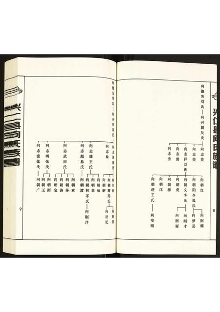 贵州向氏-兴仁县向氏族谱.pdf电子版预览图5