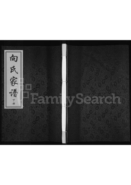 陜西向氏-向氏家谱 [上中下三册].pdf电子版缩略图