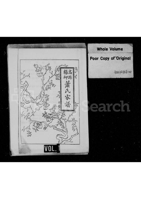 四川萧氏-高县杨柳萧氏家谱.pdf电子版缩略图