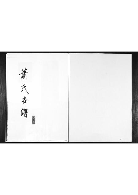 山东萧氏-萧氏世谱.pdf电子版预览图1