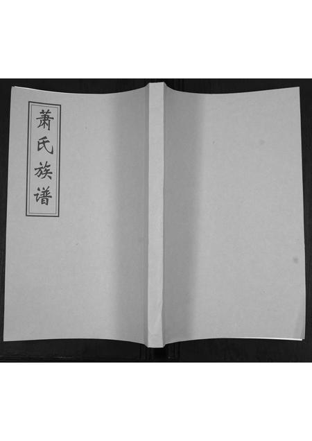 山东萧氏-萧氏族谱.pdf电子版缩略图