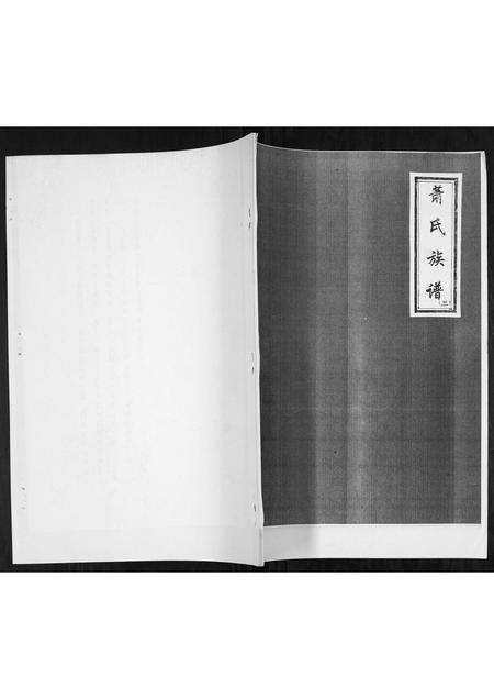 山东萧氏-萧氏族谱.pdf电子版缩略图