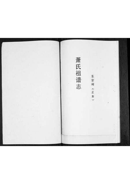 山东萧氏-萧氏族谱.pdf电子版预览图1