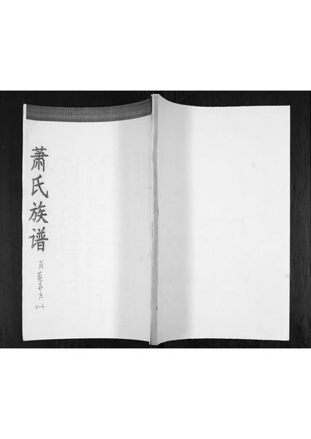 山东萧氏-萧氏族谱.pdf电子版缩略图