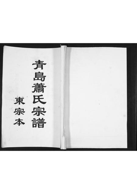 山东萧氏-青岛萧氏宗谱[ 29卷].pdf电子版缩略图