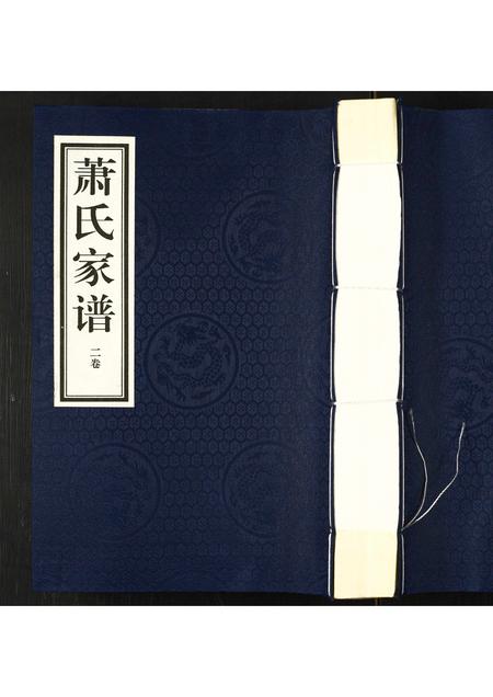 河北萧氏-萧氏家谱.pdf电子版缩略图