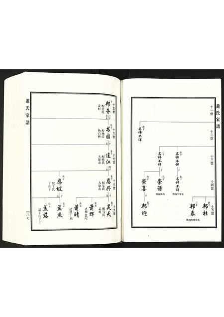 河北萧氏-萧氏家谱.pdf电子版预览图3