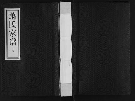 河北萧氏-萧氏家谱[2卷].pdf电子版缩略图