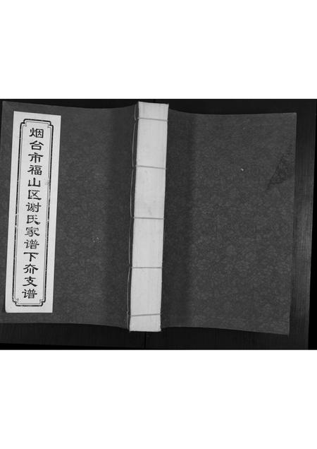 山东谢氏-福山谢氏家谱.pdf电子版缩略图