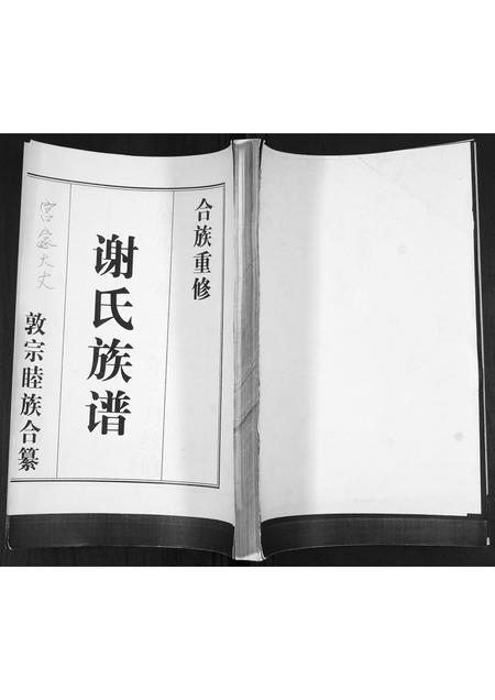 山东谢氏-谢氏族谱.pdf电子版缩略图