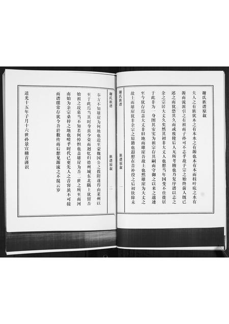 山东谢氏-谢氏族谱.pdf电子版预览图3