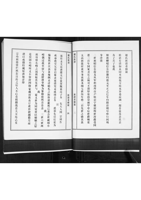 山东谢氏-谢氏族谱.pdf电子版预览图4