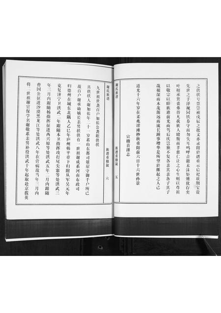 山东谢氏-谢氏族谱.pdf电子版预览图5