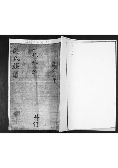 山东谢氏-谢氏族谱.pdf电子版缩略图