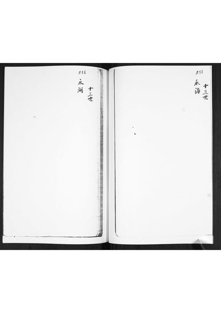 山东谢氏-谢氏族谱.pdf电子版预览图5