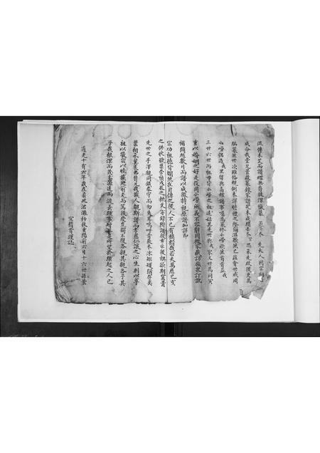 山东谢氏-谢氏族谱.pdf电子版预览图2