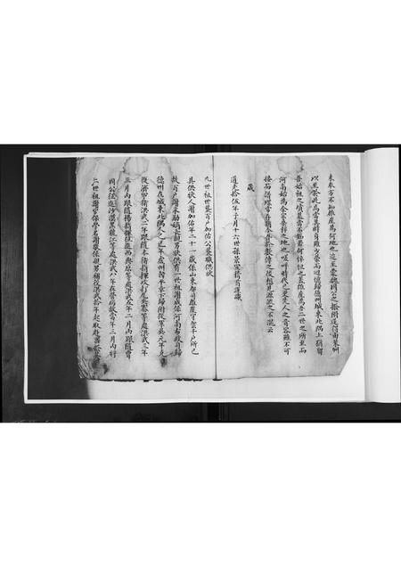 山东谢氏-谢氏族谱.pdf电子版预览图4