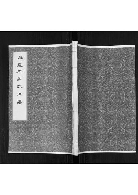 山东谢氏-雄崖所谢氏世谱.pdf电子版缩略图