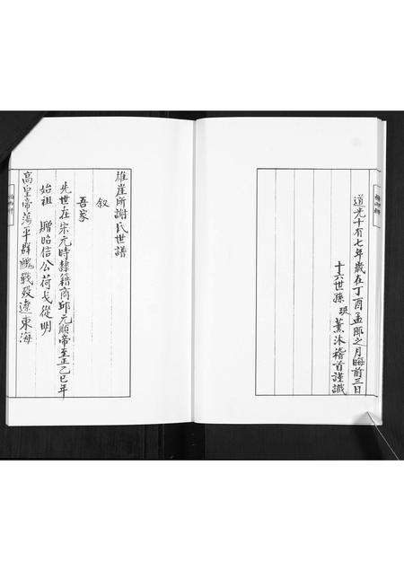 山东谢氏-雄崖所谢氏世谱.pdf电子版预览图5