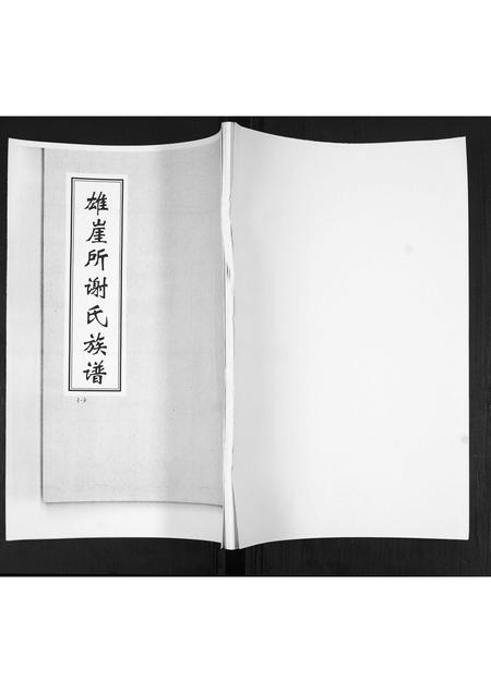 山东谢氏-雄崖所谢氏族谱.pdf电子版缩略图