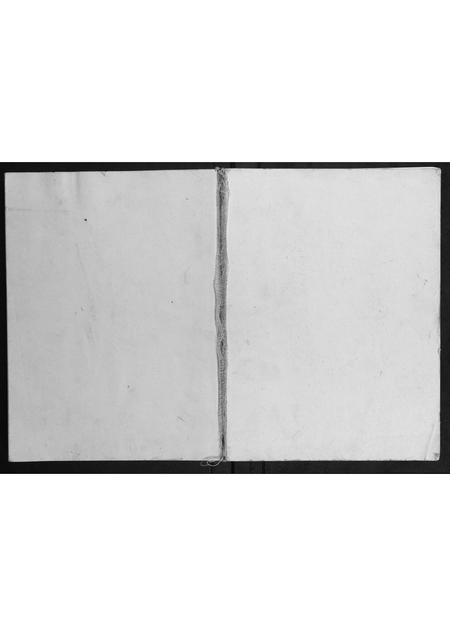 广西谢氏-谢氏族谱.pdf电子版缩略图